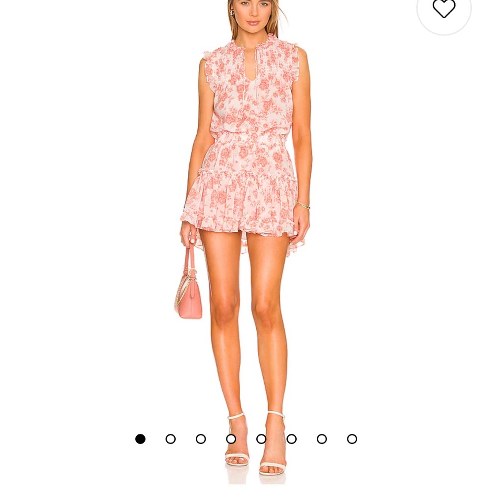 Misa Los Angeles dress in summer rose size small